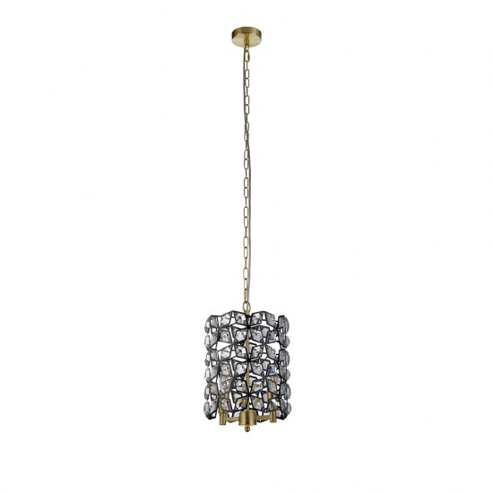 62005-006 Brass & Black 2 Light Pendant with Crystal