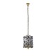 62005-006 Brass & Black 2 Light Pendant with Crystal