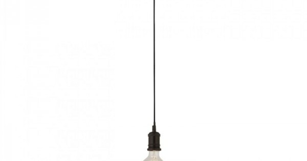 Color Encyclopedia of Cape Bulbs 洋書 Color Encyclopedia of Cape Bulbs 球根 洋書