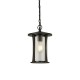 61981-006 Outdoor Black Lantern Pendant