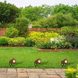 64584-006 Outdoor Rustic Brown Spike Spots