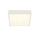 64641-006 White LED Flush with White Diffuser