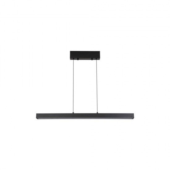 79288-006 Black CCT Linear Profile