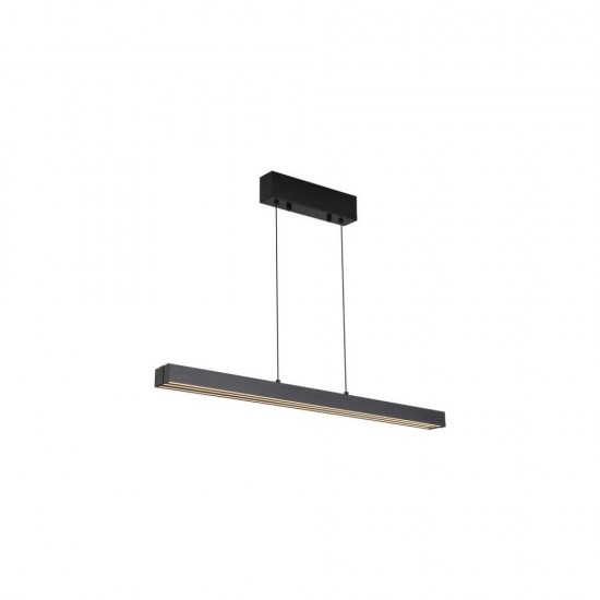 79288-006 Black CCT Linear Profile