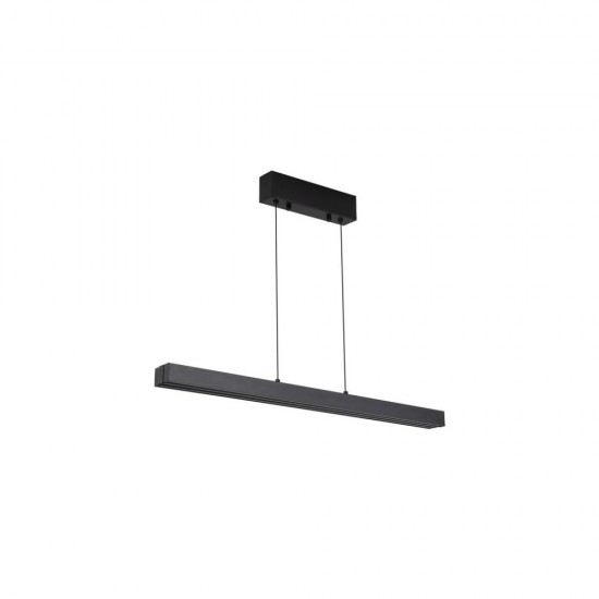79288-006 Black CCT Linear Profile