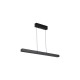 79288-006 Black CCT Linear Profile
