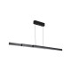 79288-006 Black CCT Linear Profile