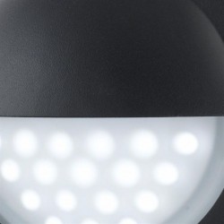 9500-006 Black & White Eyelid LED Bulkhead