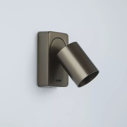82335-006 Bronze Spotlight