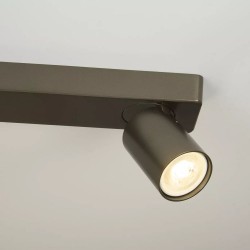 82338-006 Bronze Twin Spotlights
