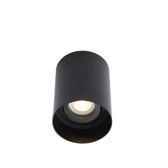 65673-006 Surface-Mounted Black Cylindrical Spotlight