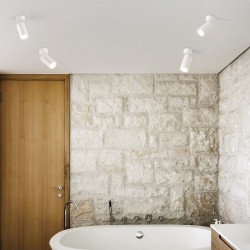 59855-007 White Spotlight