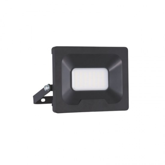 29290-013 Black LED Floodlight 30W