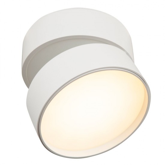 59666-045 Warm White LED Adjustable White Spotlight
