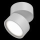 62653-045 Warm White LED Adjustable White Spotlight