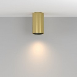 76517-045 Surface-Mounted Ribbed Brass & Black Cylindrical Spotlight