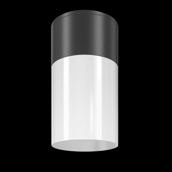 68730-045 Outdoor Black & White Ceiling Lamp