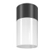 68730-045 Outdoor Black & White Ceiling Lamp