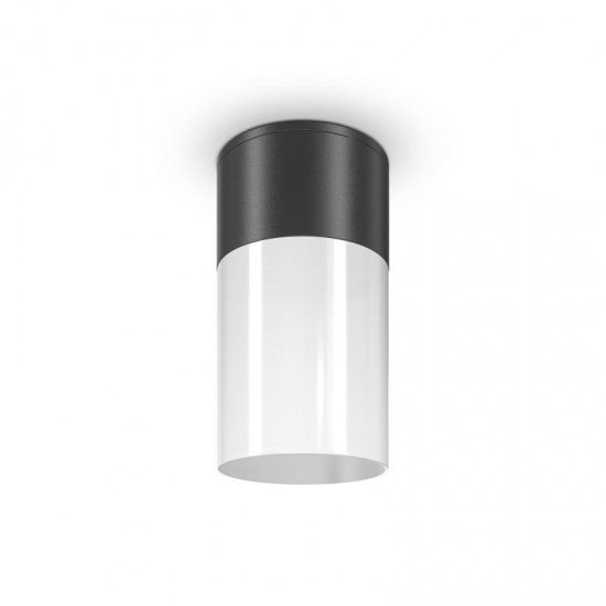 68730-045 Outdoor Black & White Ceiling Lamp