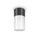 68730-045 Outdoor Black & White Ceiling Lamp