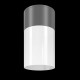 68731-045 Outdoor Grey & White Ceiling Lamp