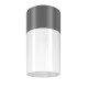 68731-045 Outdoor Grey & White Ceiling Lamp