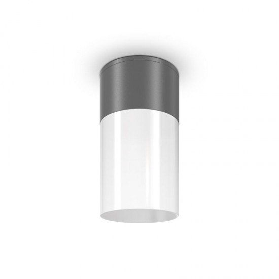 68731-045 Outdoor Grey & White Ceiling Lamp