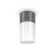 68731-045 Outdoor Grey & White Ceiling Lamp