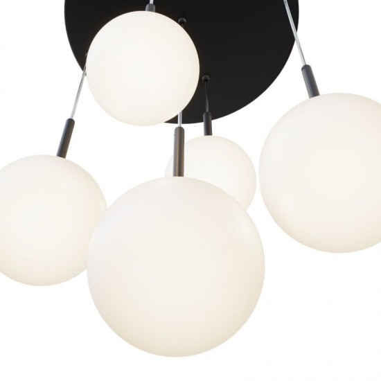 68461-045 Black 5 Light Cluster Fitting with White Glasses