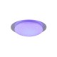47261-049 Bathroom RGBW Flush with Starry Sky Effect Ø 35 cm