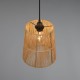 76913-049 Brown Pendant