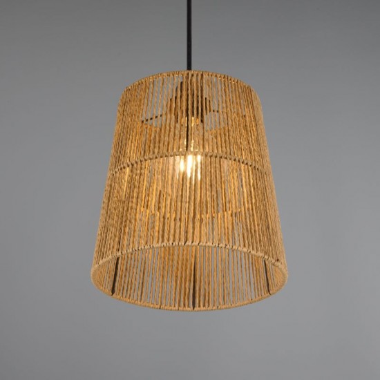 76913-049 Brown Pendant