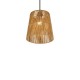 76913-049 Brown Pendant