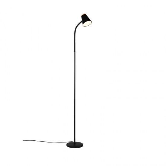 77081-049 Black LED Floor Lamp