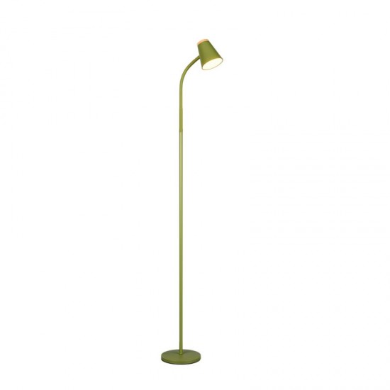 77084-049 Green LED Floor Lamp