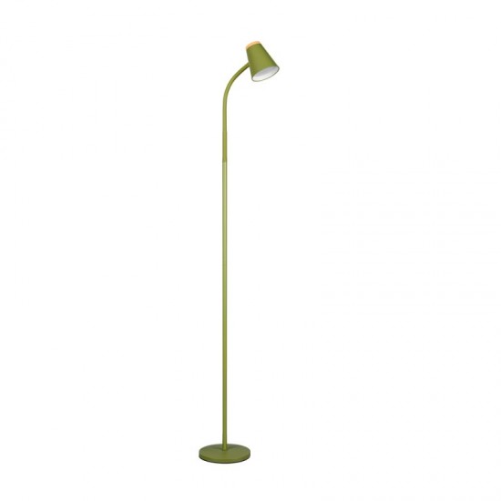 77084-049 Green LED Floor Lamp
