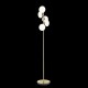 Chicago FL - Brushed Brass 5 Light Floor Lamp with White Opal Glass