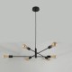 Anna BK - Adjustable Matt Black 6 Light Centre Fitting