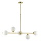69332-001 Satin Brass 5 Light over Island Fitting with White Glasses