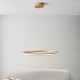 67525-100 Satin Gold Ring LED Pendant