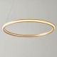 67525-100 Satin Gold Ring LED Pendant