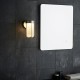 63774-100 Outdoor Brushed Silver LED Wall Lamp with Frosted Glass